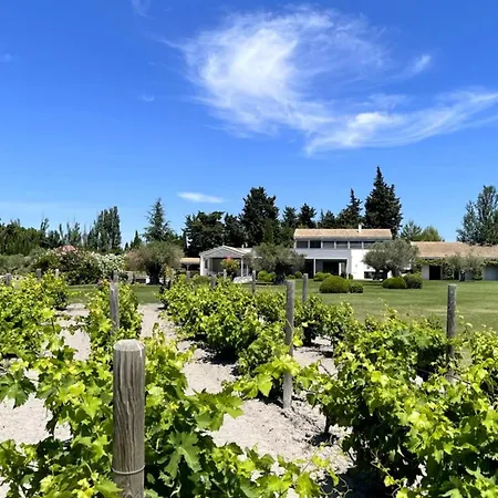 Holiday home Mas De Paniere - Saint Remy De Provence