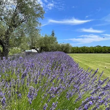 Mas De Paniere - Saint Remy De Provence Holiday home